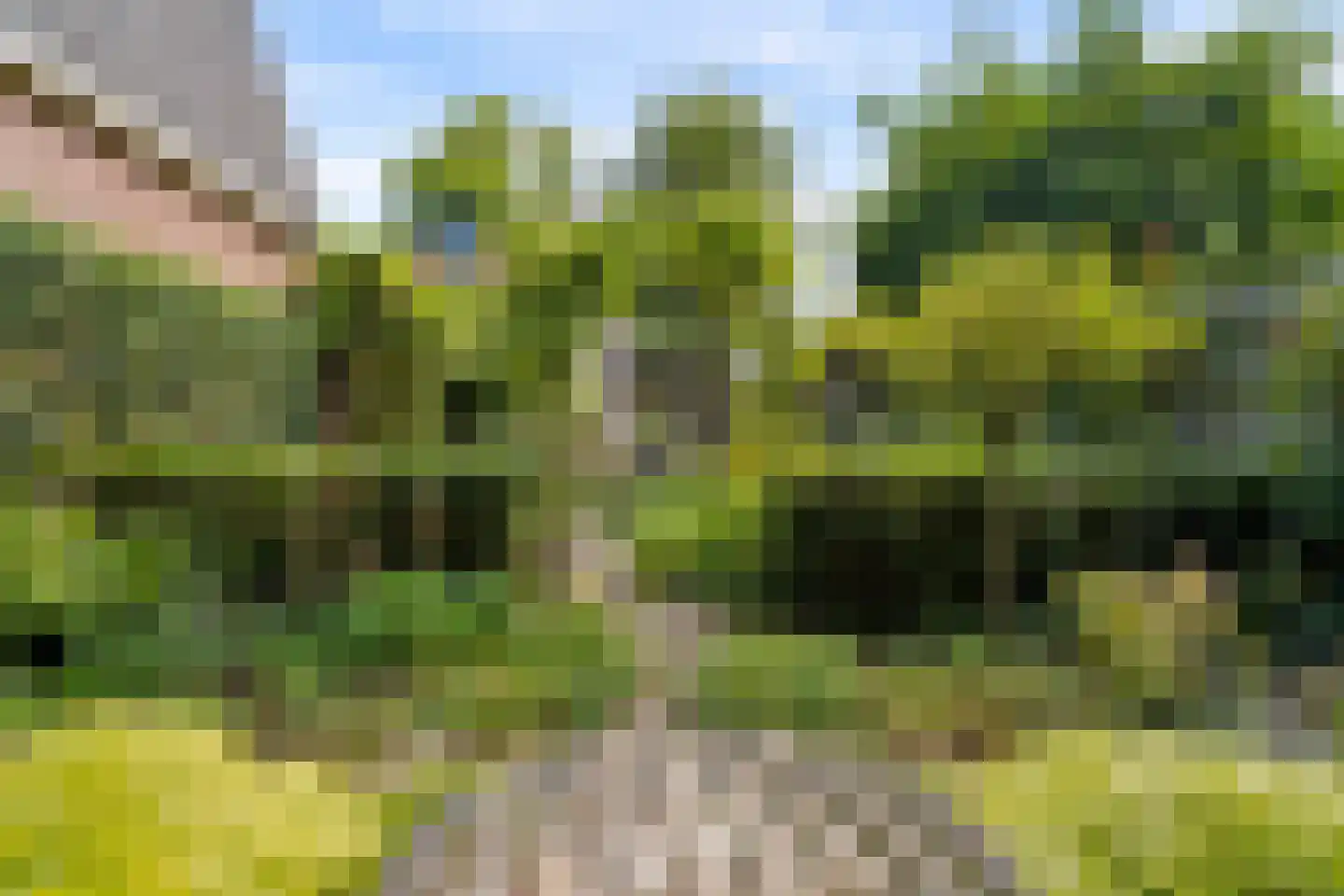 Gerolaan 44 Zeist thumbnail 71