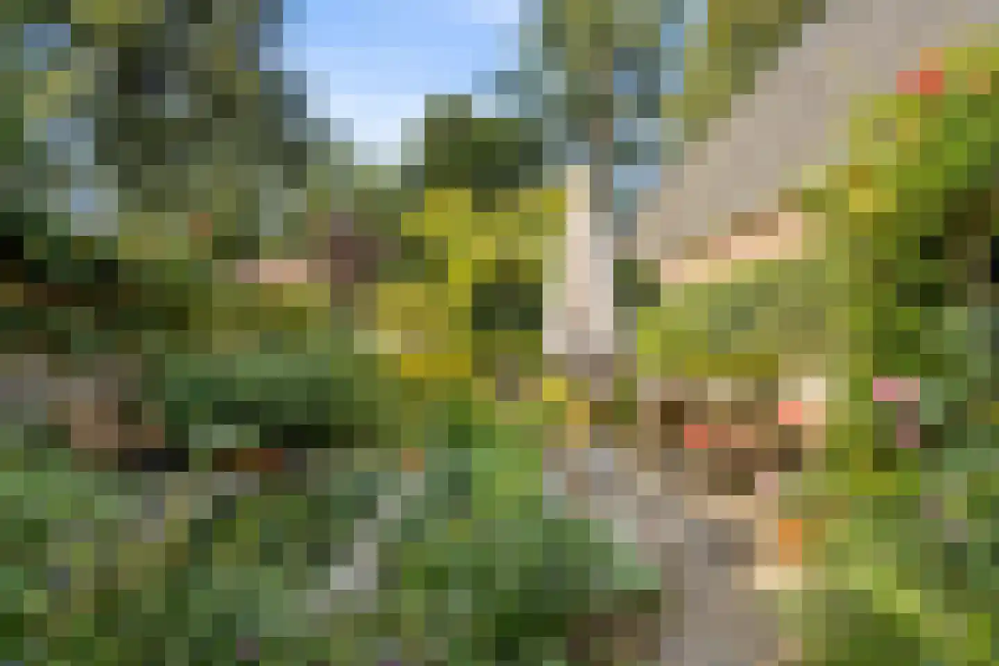 Gerolaan 44 Zeist thumbnail 72
