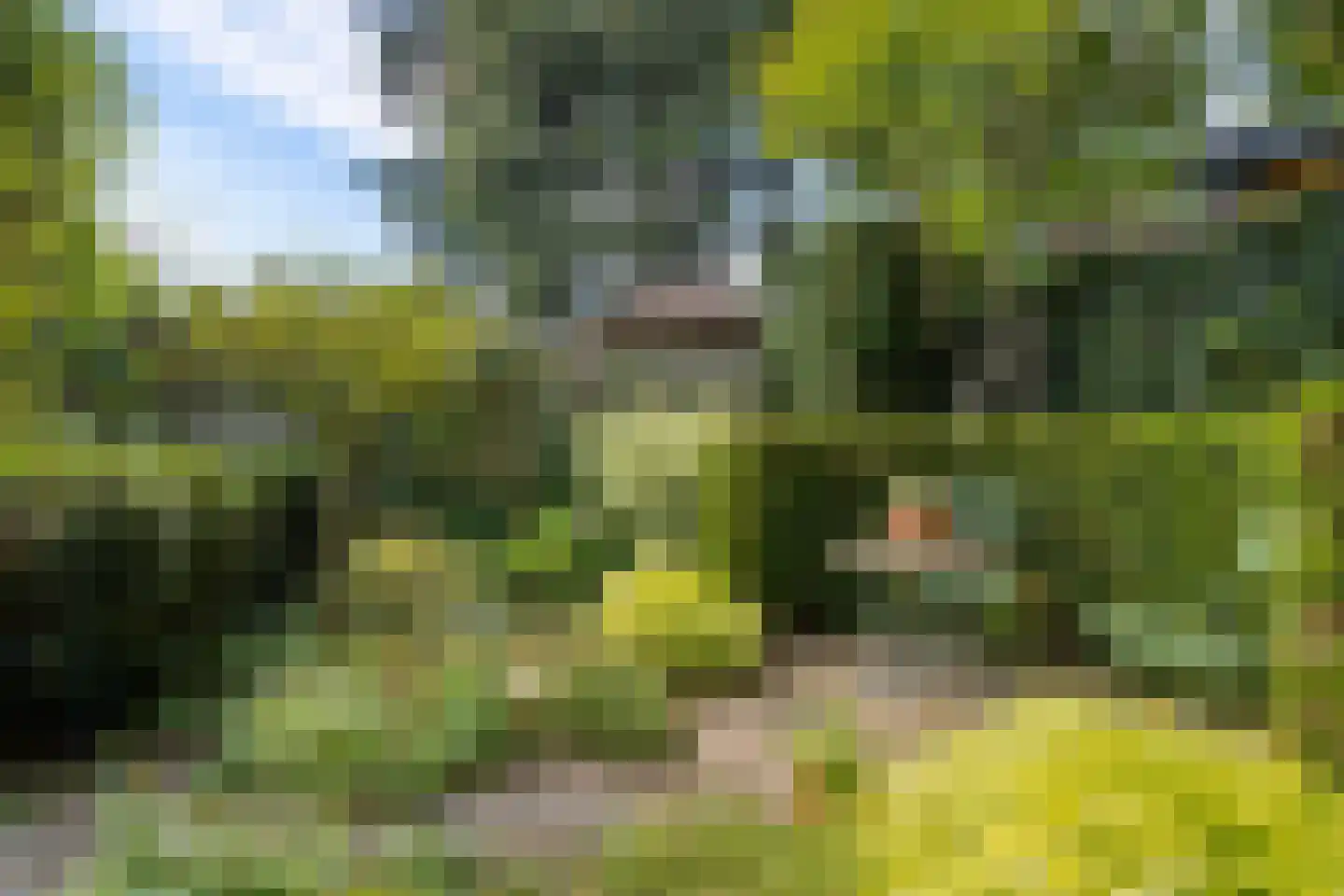 Gerolaan 44 Zeist thumbnail 73