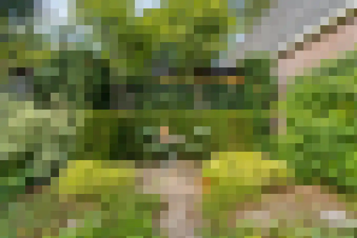 Gerolaan 44 Zeist thumbnail 75