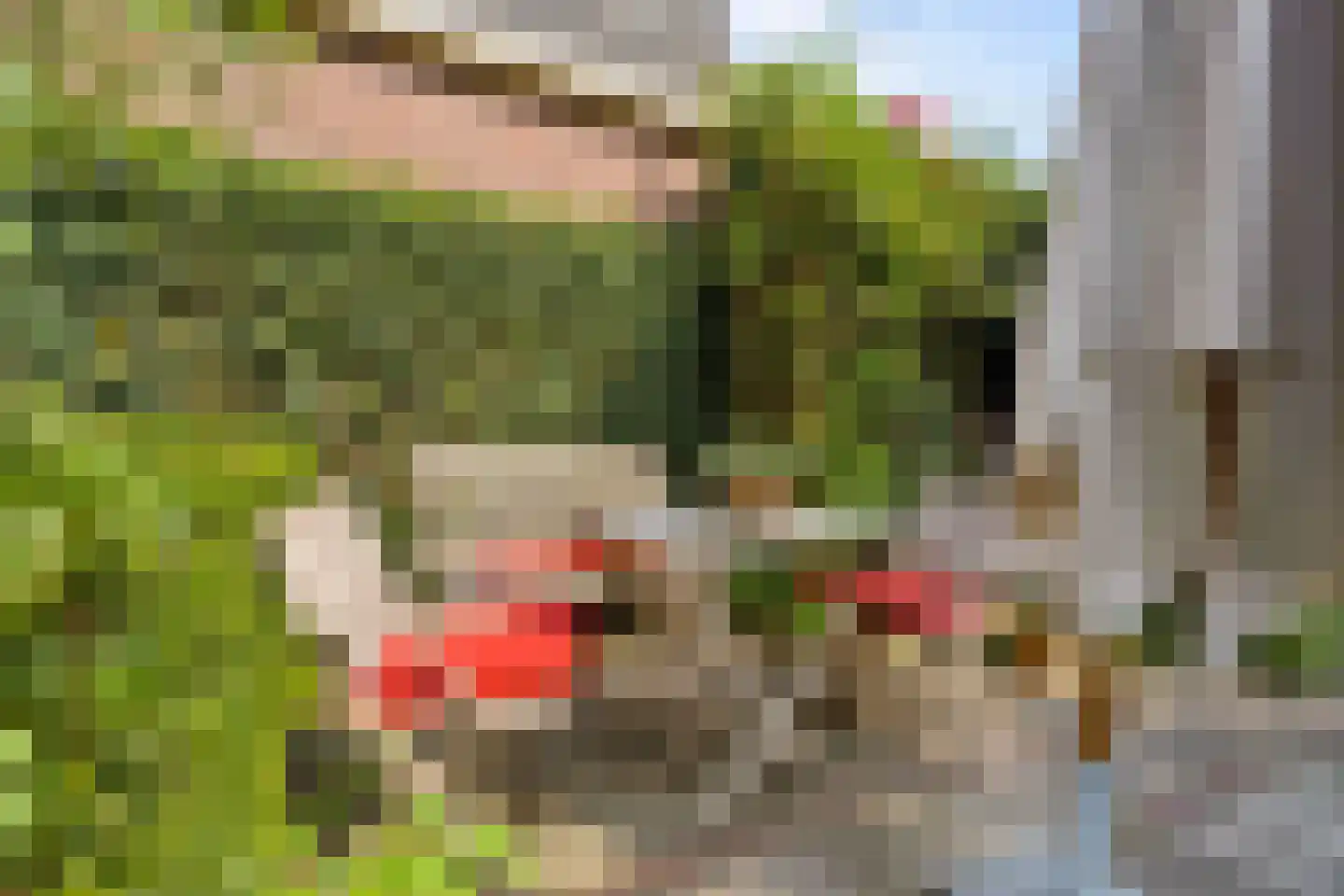 Gerolaan 44 Zeist thumbnail 76
