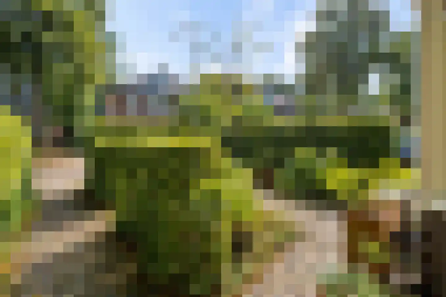 Gerolaan 44 Zeist thumbnail 78