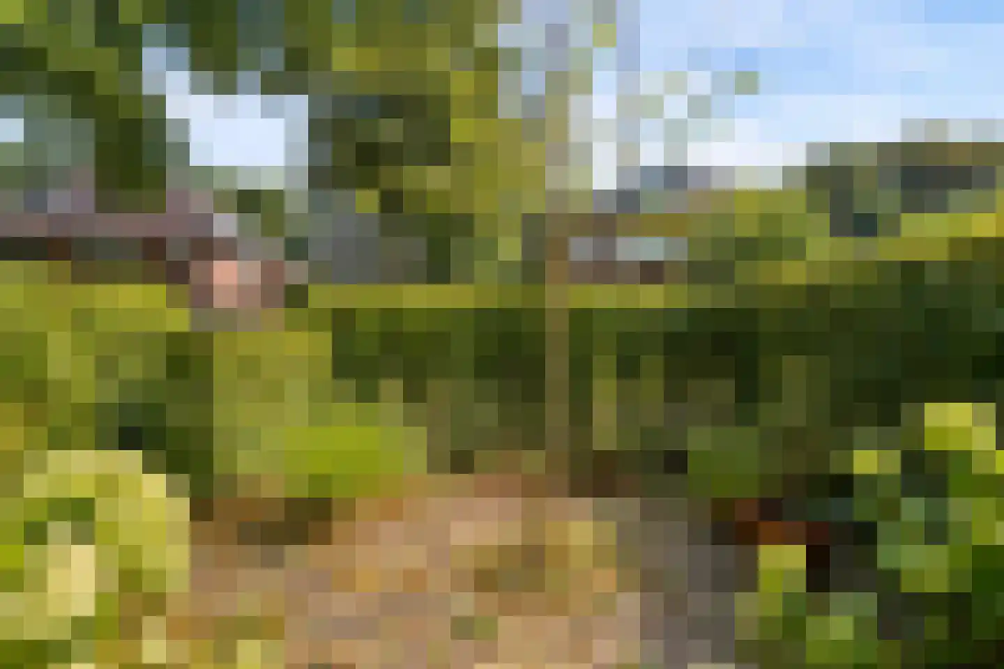 Gerolaan 44 Zeist thumbnail 79
