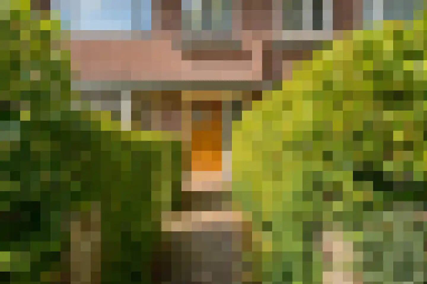Gerolaan 44 Zeist thumbnail 8