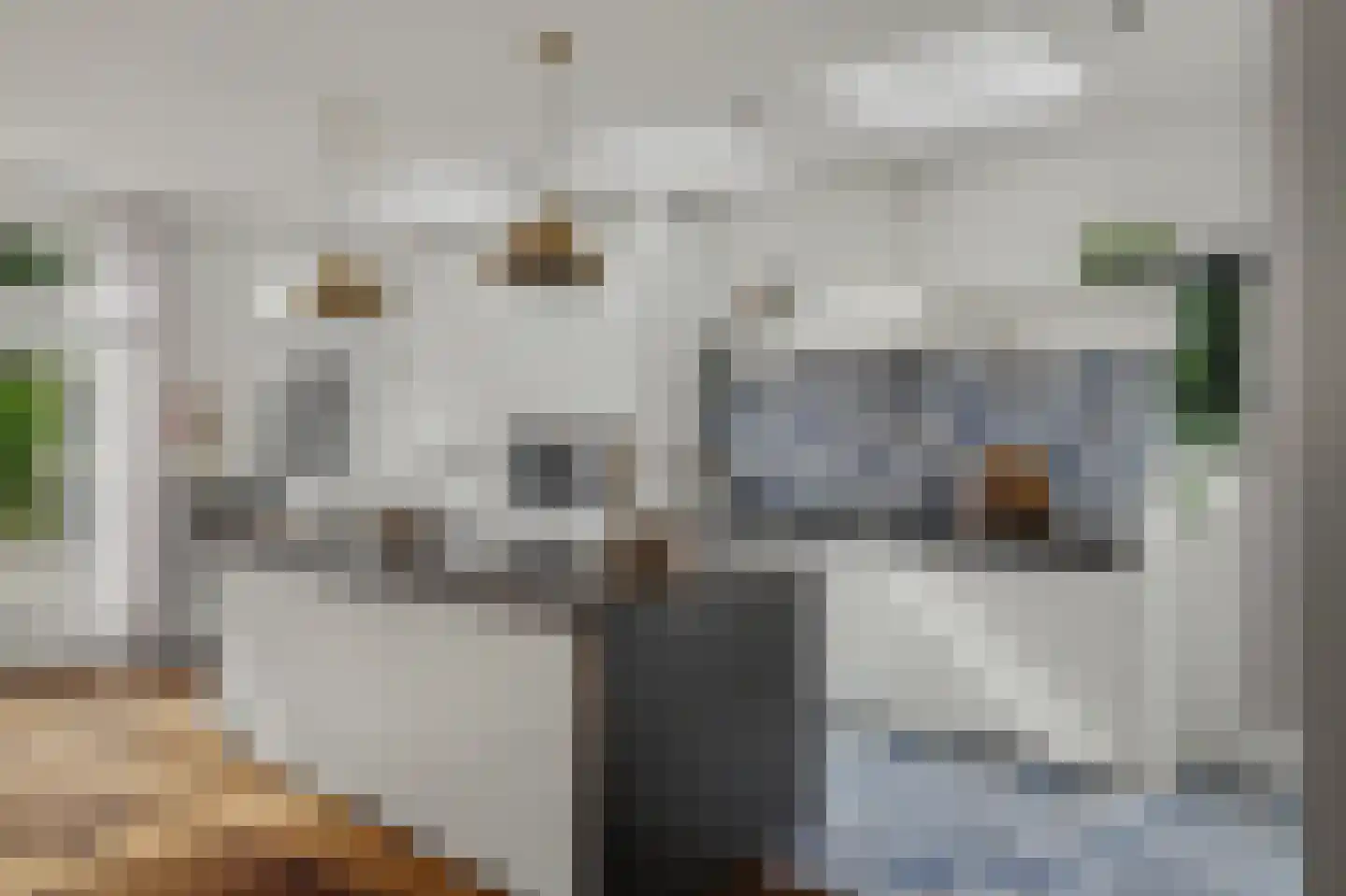 Gerolaan 47 Zeist thumbnail 14