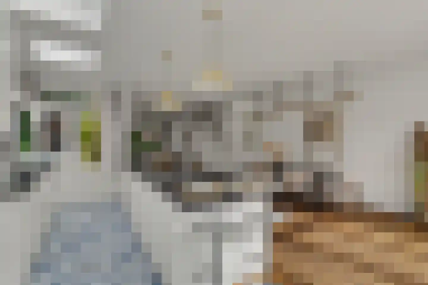 Gerolaan 47 Zeist thumbnail 19