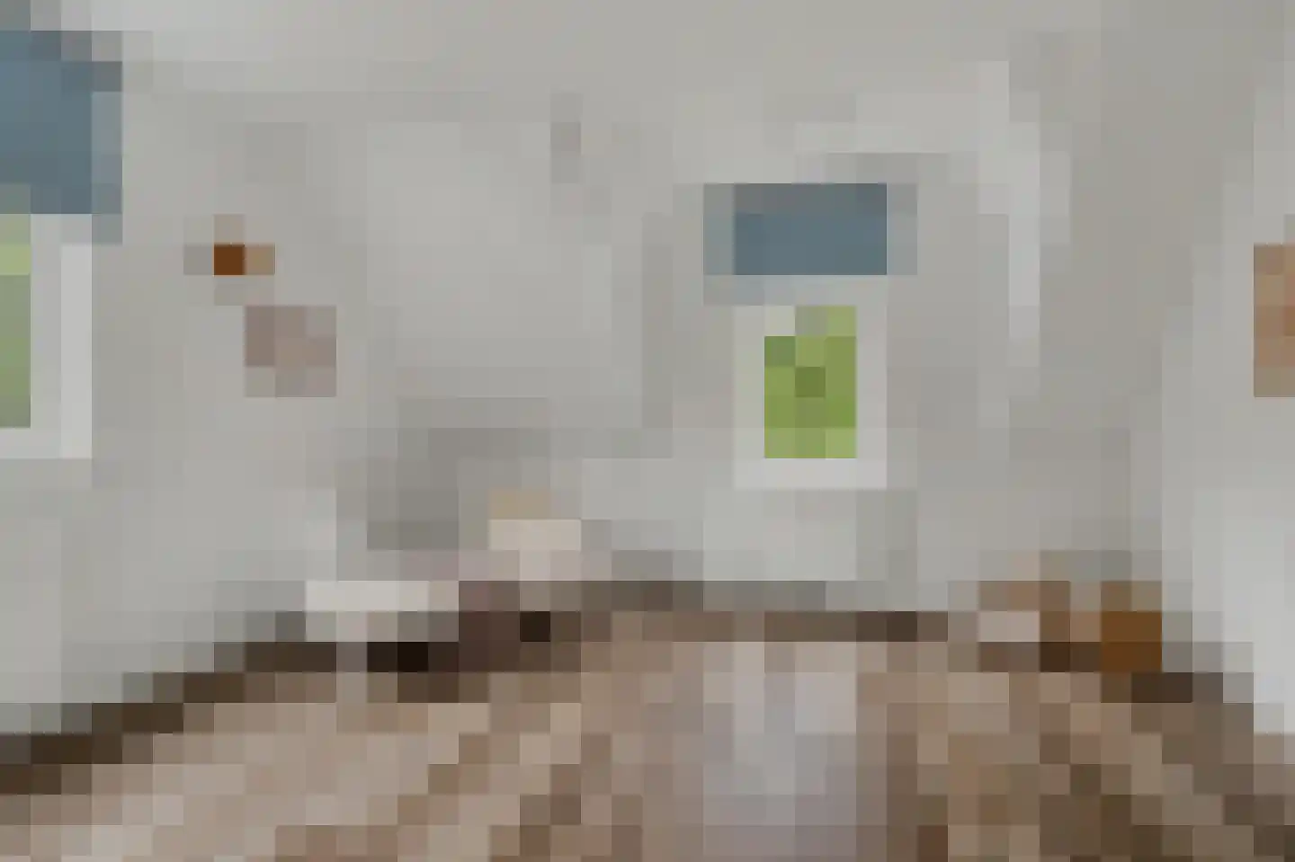 Gerolaan 47 Zeist thumbnail 29