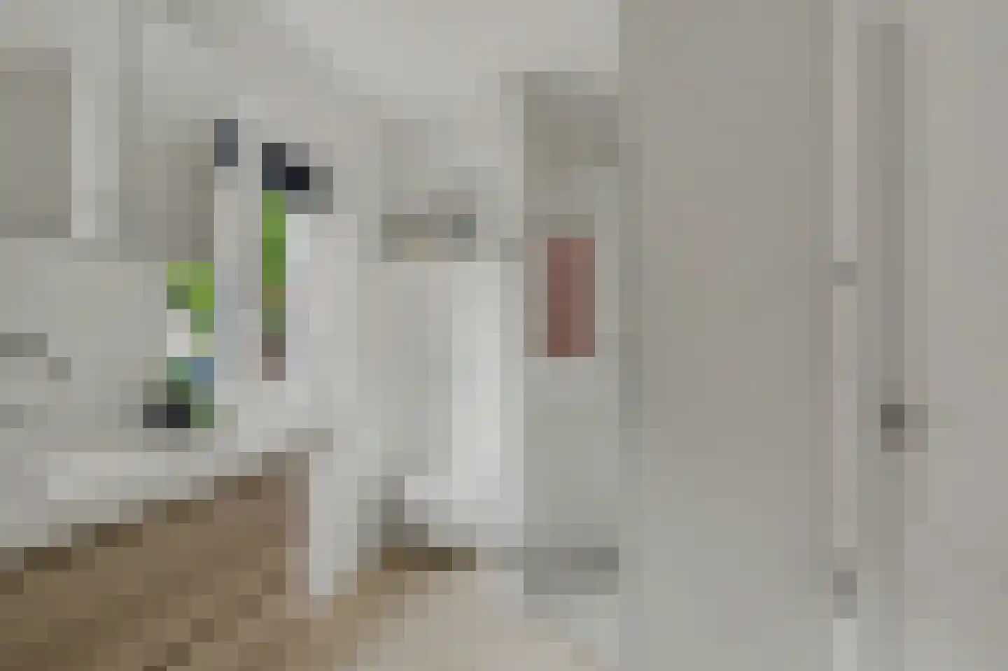 Gerolaan 47 Zeist thumbnail 31