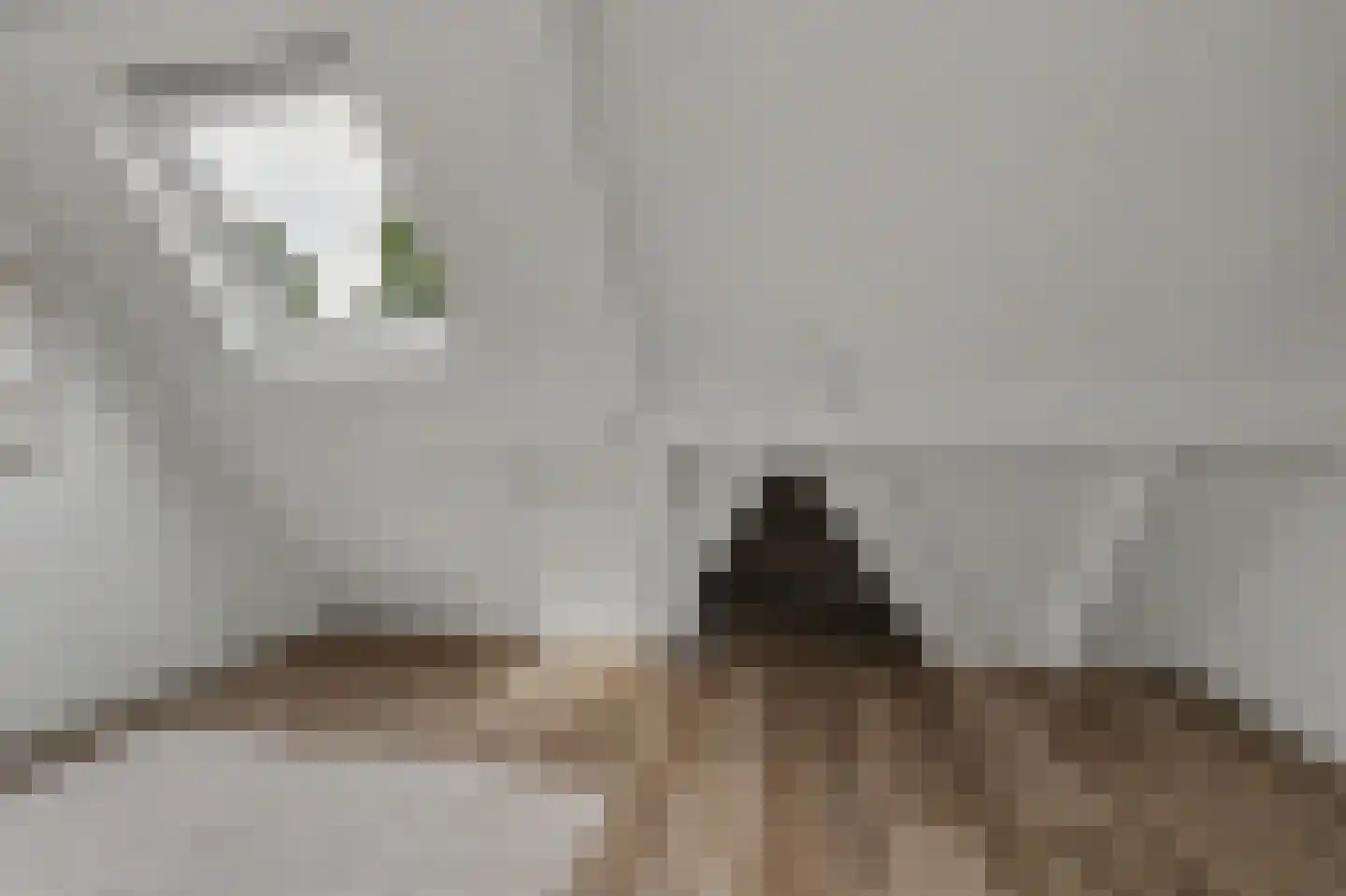 Gerolaan 47 Zeist thumbnail 37