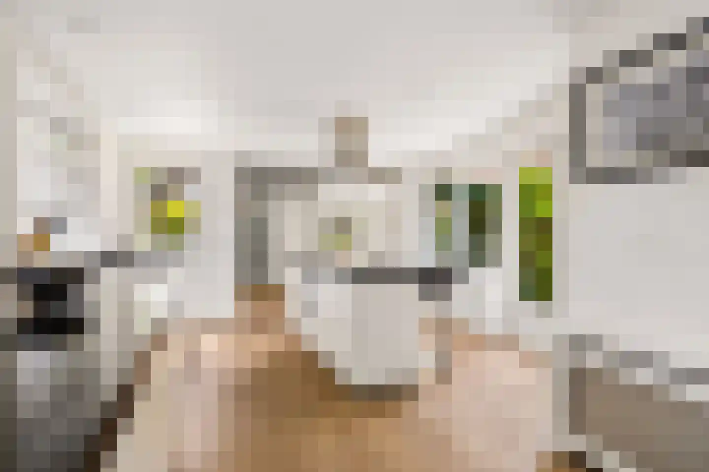 Gerolaan 56 Zeist thumbnail 27