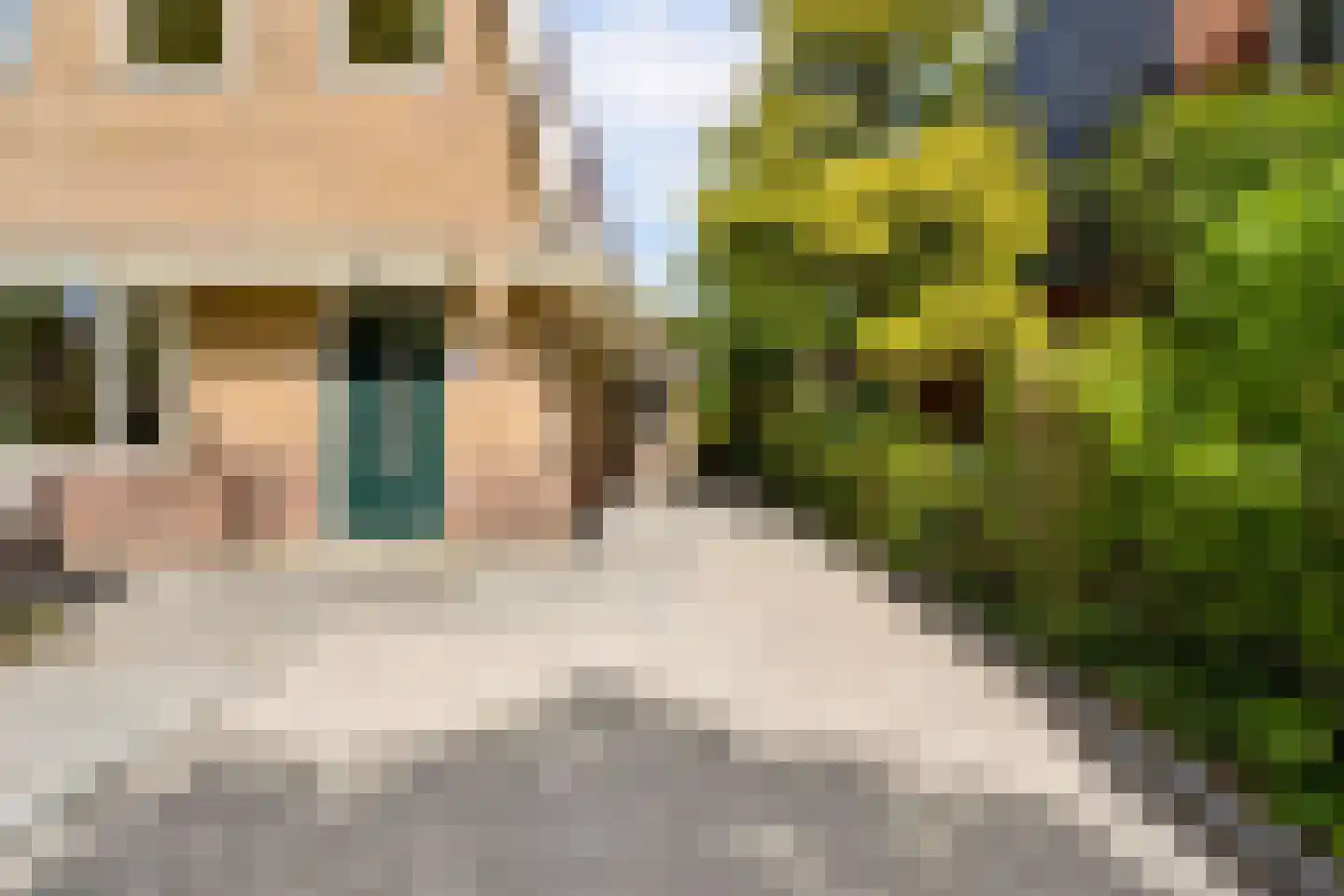 Gerolaan 56 Zeist thumbnail 77