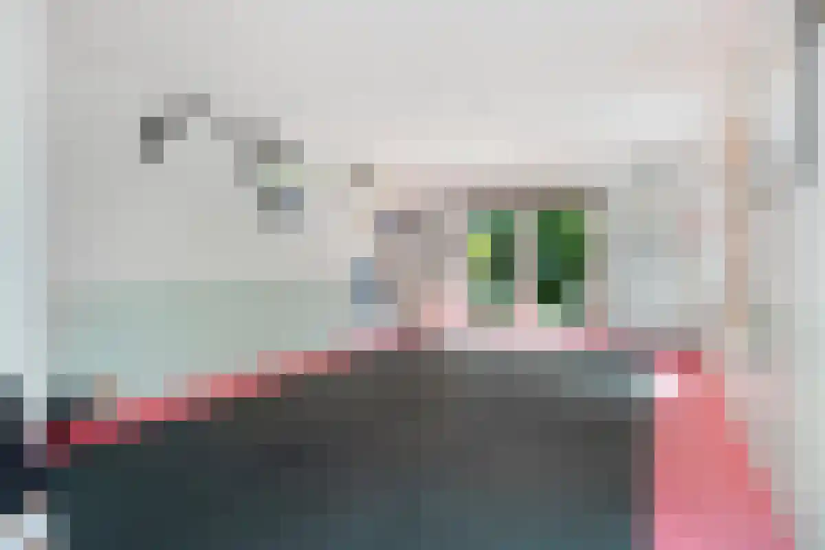 Gerolaan 65 Zeist thumbnail 5
