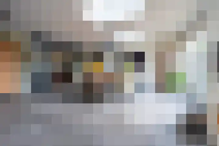 Gerolaan 99 Zeist thumbnail 18