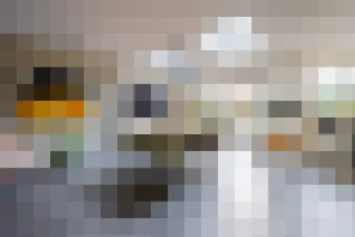 Gerolaan 99 Zeist thumbnail 19