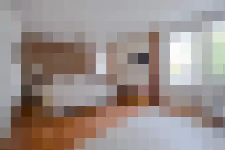 Gerolaan 99 Zeist thumbnail 29