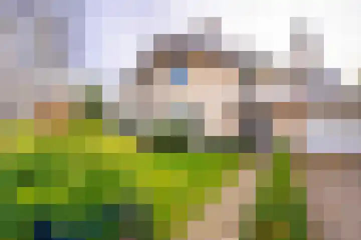 Gerolaan 99 Zeist foto 3