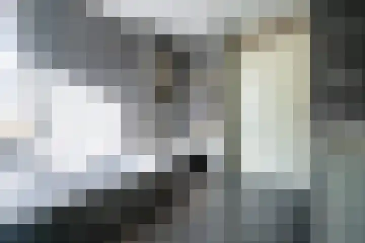 Gerolaan 99 Zeist thumbnail 39