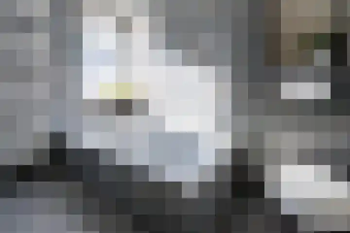 Gerolaan 99 Zeist thumbnail 40