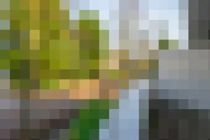 Gerolaan 99 Zeist thumbnail 52