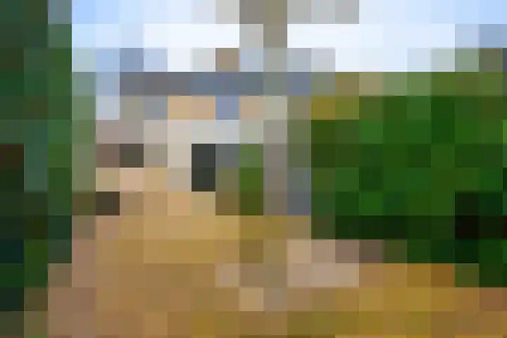 Gerolaan 99 Zeist thumbnail 62
