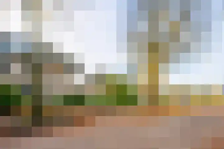 Gerolaan 99 Zeist thumbnail 66