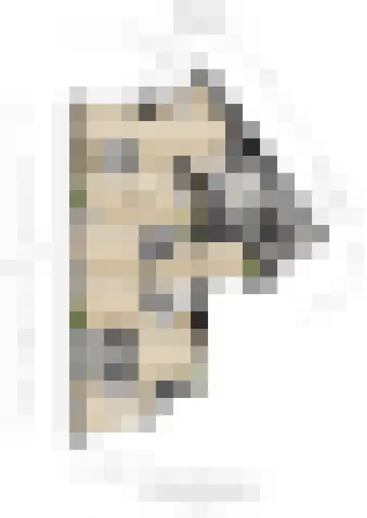 Gerolaan 99 Zeist thumbnail 67