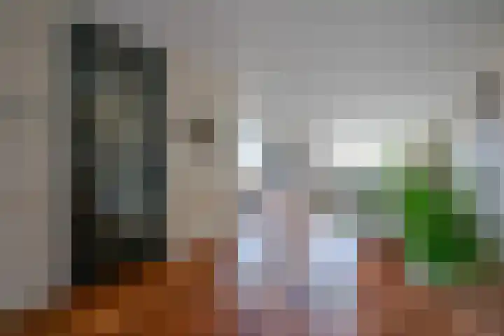 Gerolaan 99 Zeist thumbnail 7