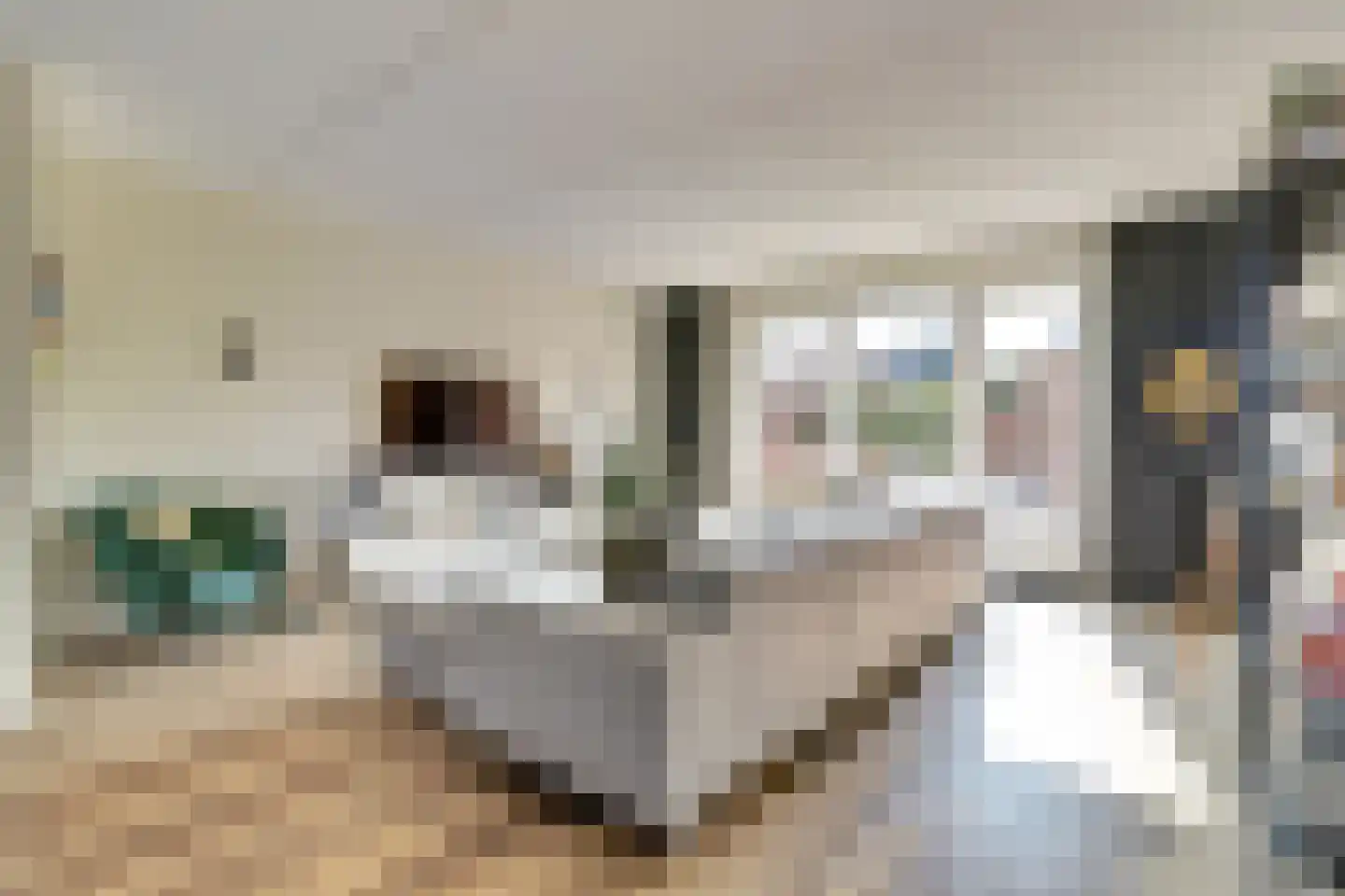 Geronimoplein 10 Veghel thumbnail 10