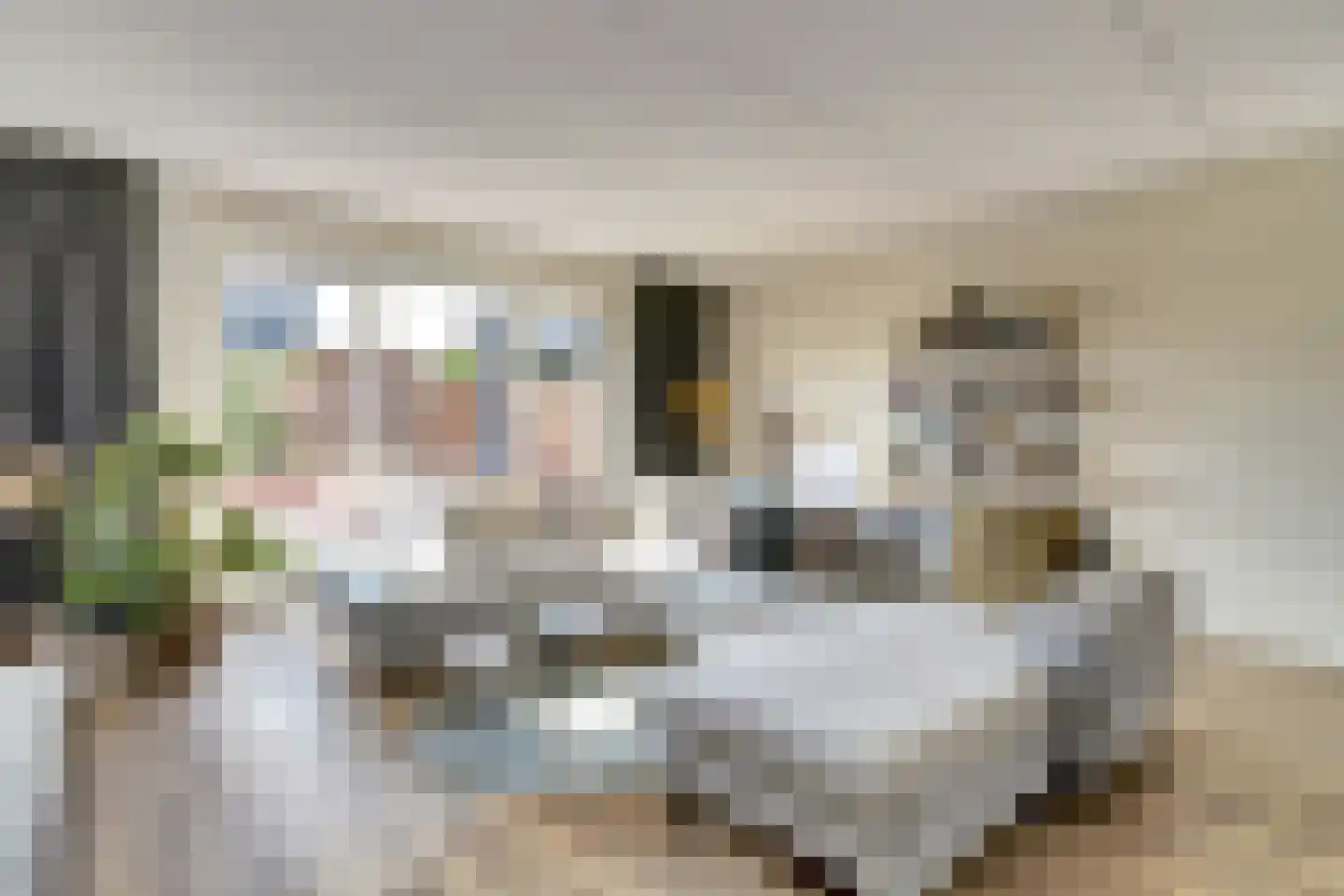 Geronimoplein 10 Veghel thumbnail 11
