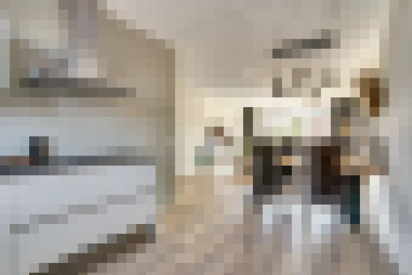 Geronimoplein 10 Veghel thumbnail 15