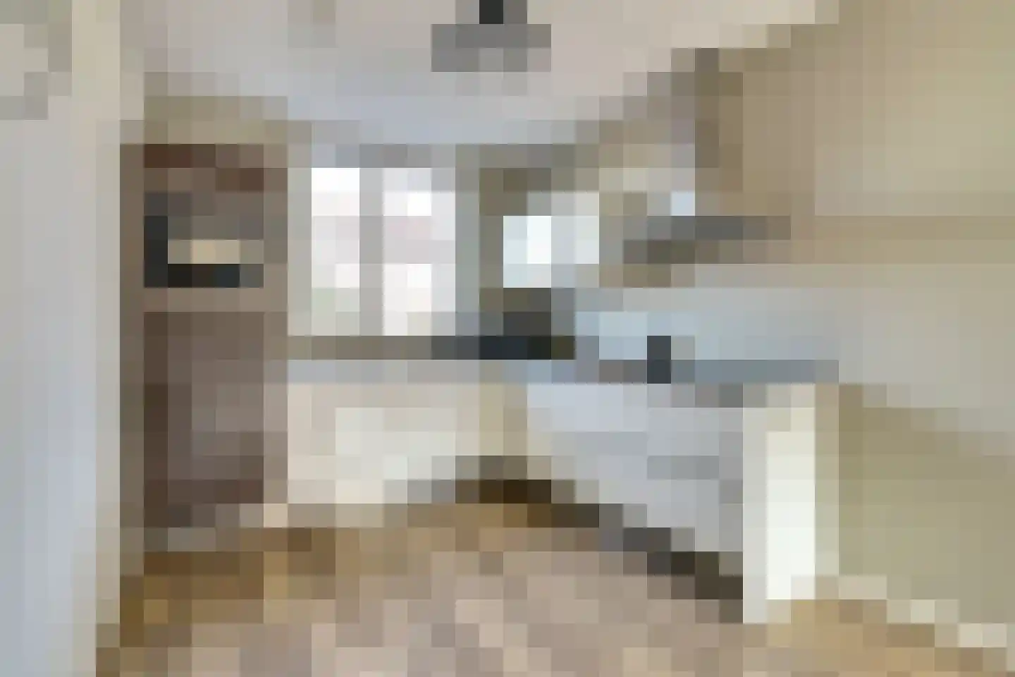 Geronimoplein 10 Veghel thumbnail 18