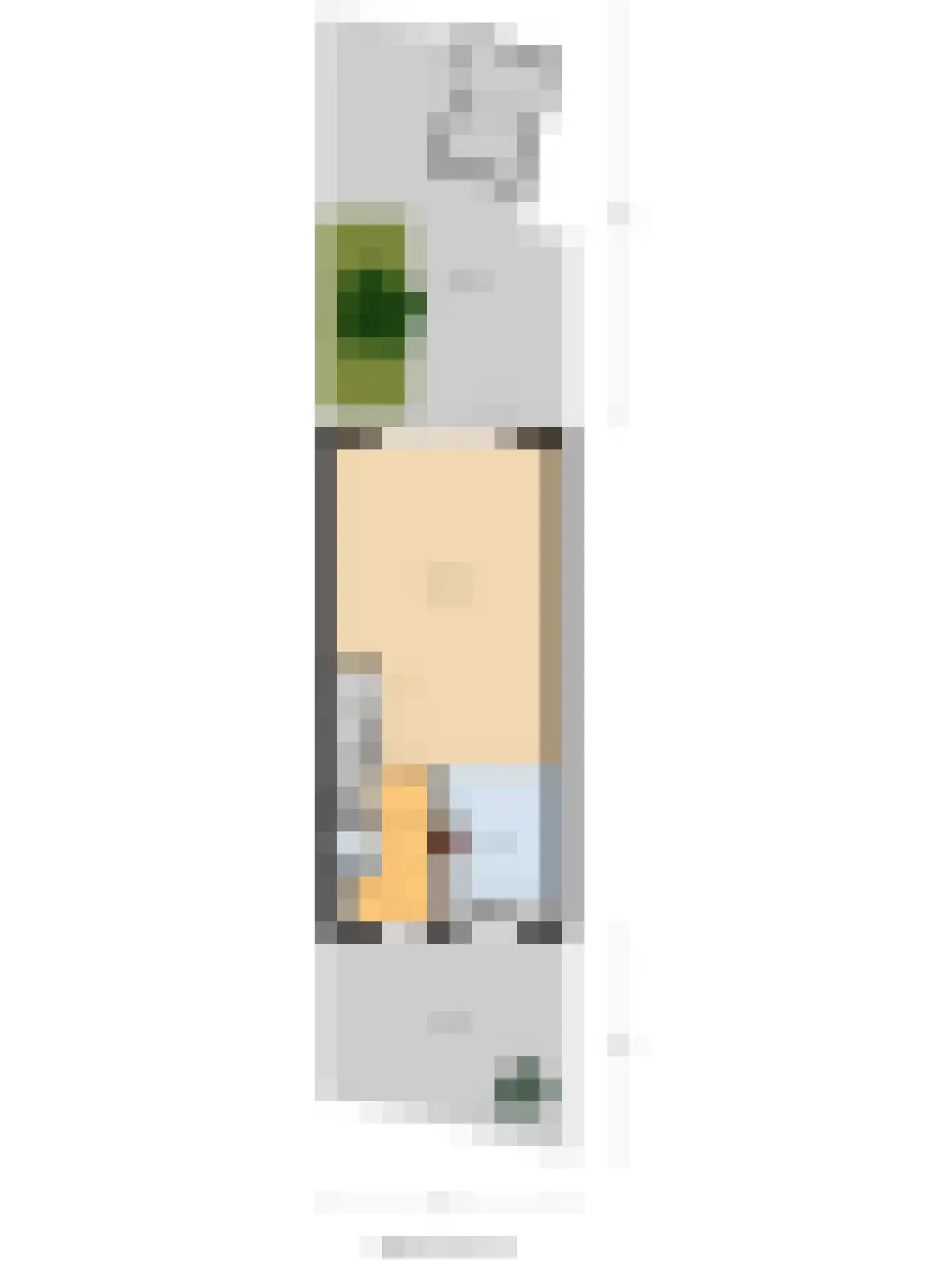 Geronimoplein 10 Veghel thumbnail 35