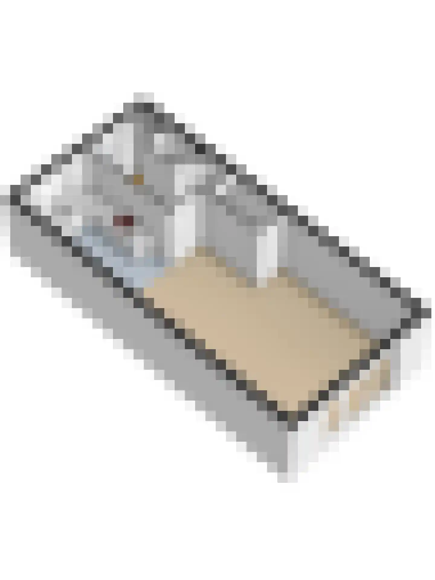 Geronimoplein 10 Veghel thumbnail 41