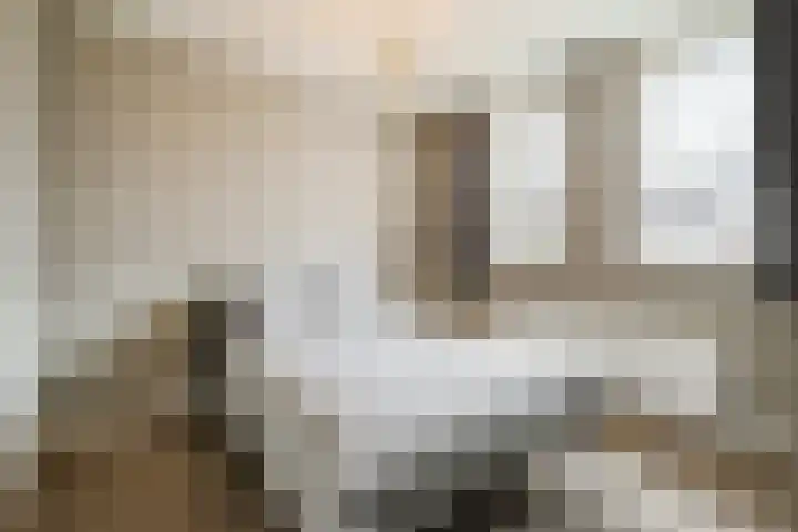 Geronimoplein 14 Veghel thumbnail 16