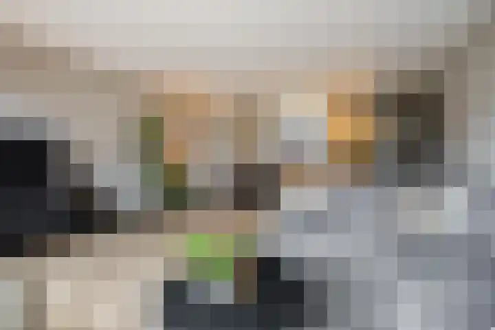 Geronimoplein 14 Veghel thumbnail 9