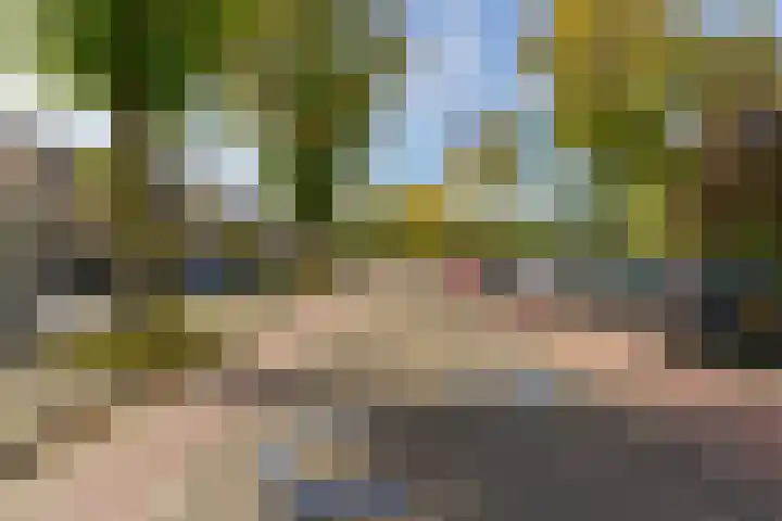 Gerretsonlaan 60 Eindhoven thumbnail 11