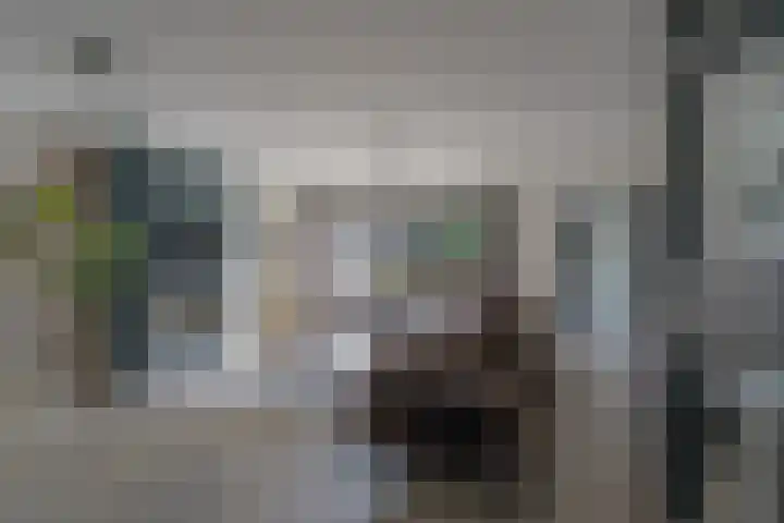 Gerretsonlaan 60 Eindhoven thumbnail 14