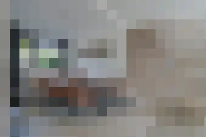 Gerretsonlaan 60 Eindhoven thumbnail 15