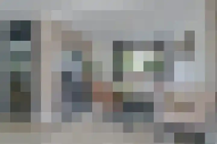 Gerretsonlaan 60 Eindhoven thumbnail 16