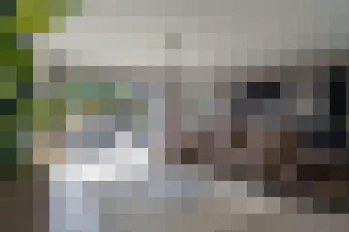 Gerretsonlaan 60 Eindhoven thumbnail 17