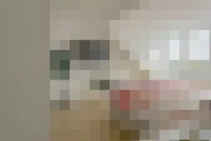 Gerretsonlaan 60 Eindhoven thumbnail 32