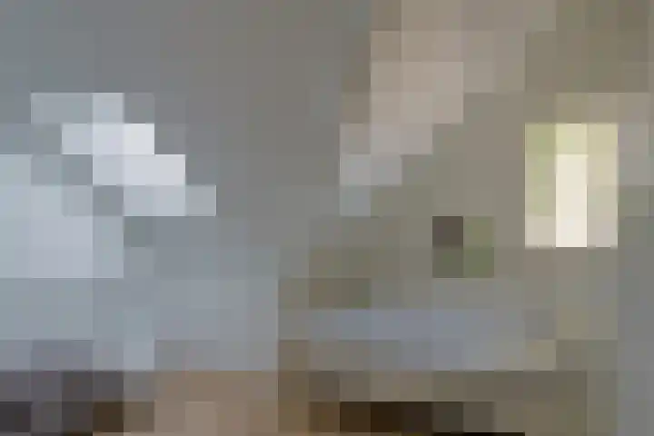 Gerretsonlaan 60 Eindhoven thumbnail 36