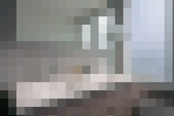 Gerretsonlaan 60 Eindhoven thumbnail 41