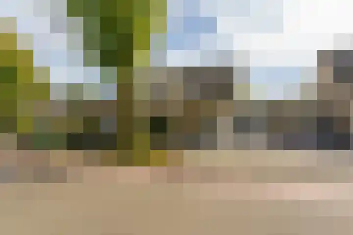 Gerretsonlaan 60 Eindhoven thumbnail 8