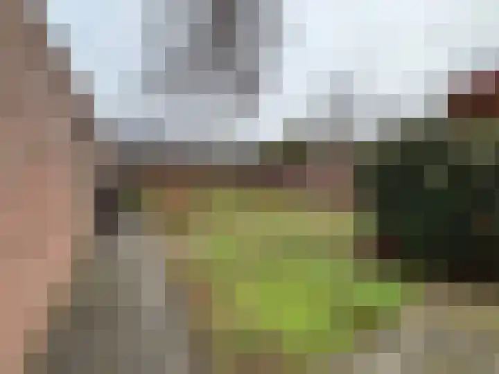 Gerretsonlaan 80 Eindhoven thumbnail 27