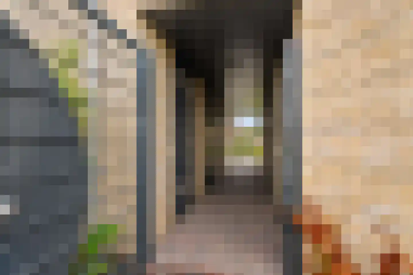 Gerrigje Nijessensingel 58 Emmeloord thumbnail 31