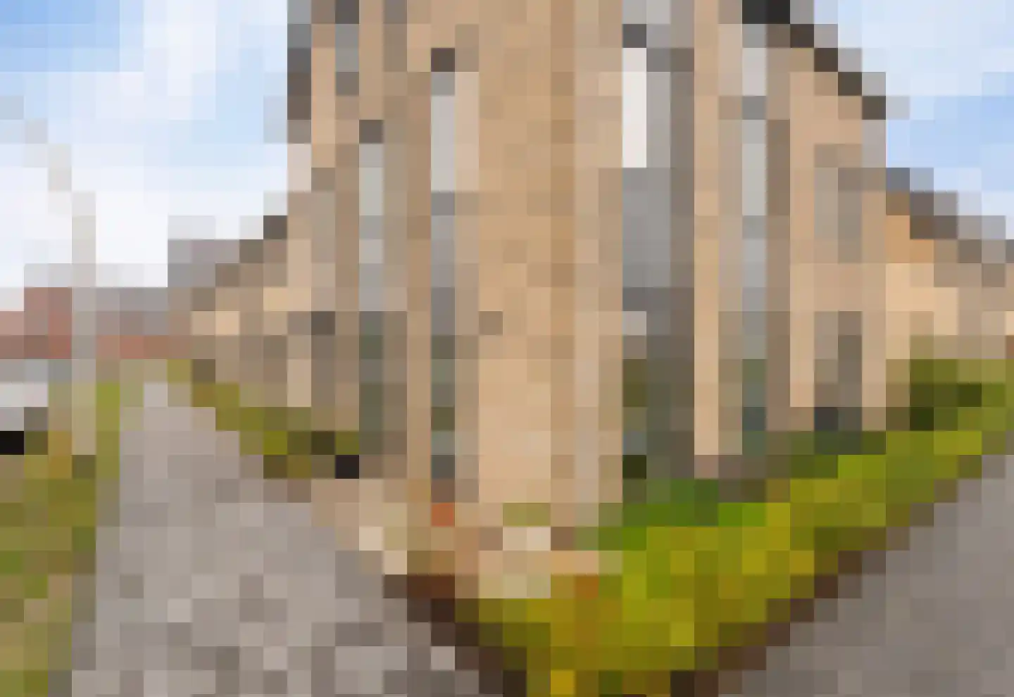 Gerrigje Nijessensingel 58 Emmeloord thumbnail 8