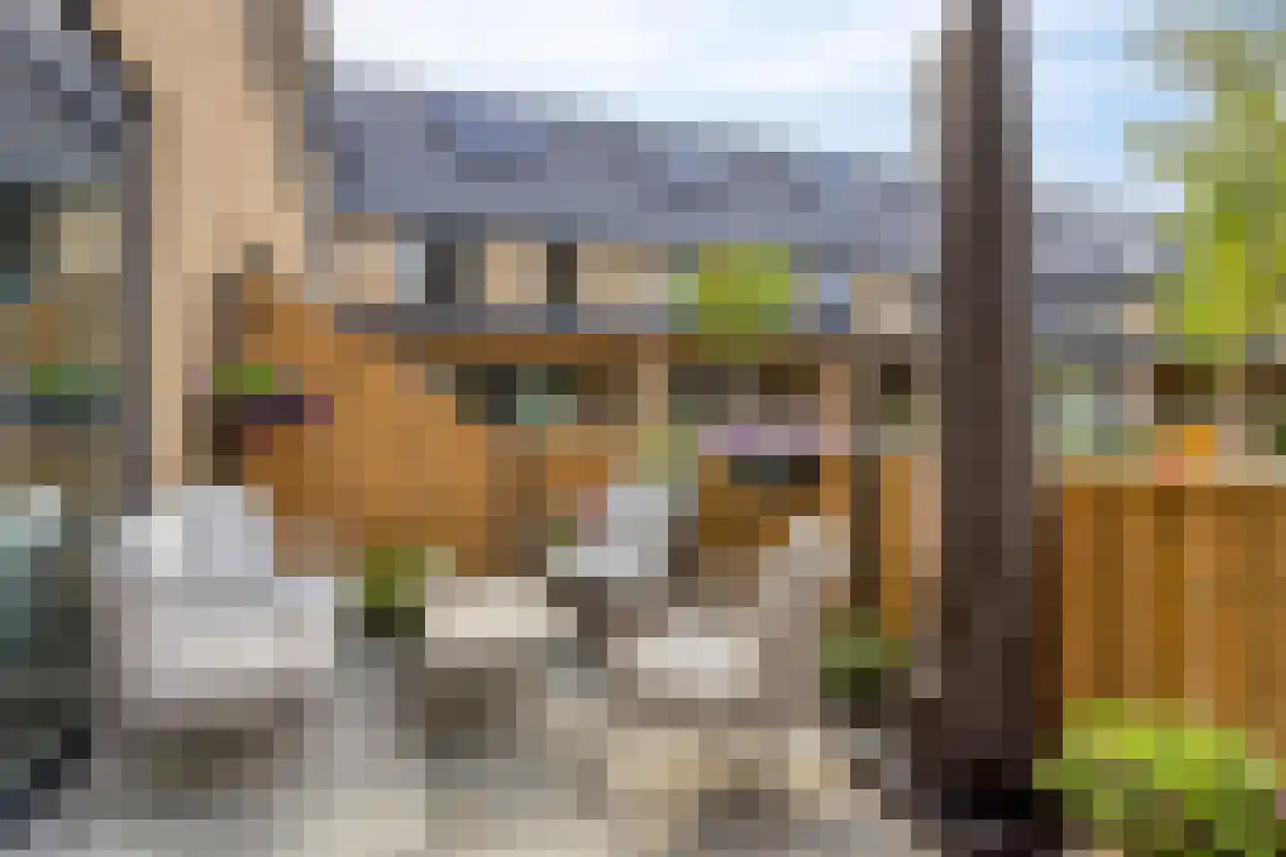 Gerrigje Nijessensingel 64 Emmeloord thumbnail 28