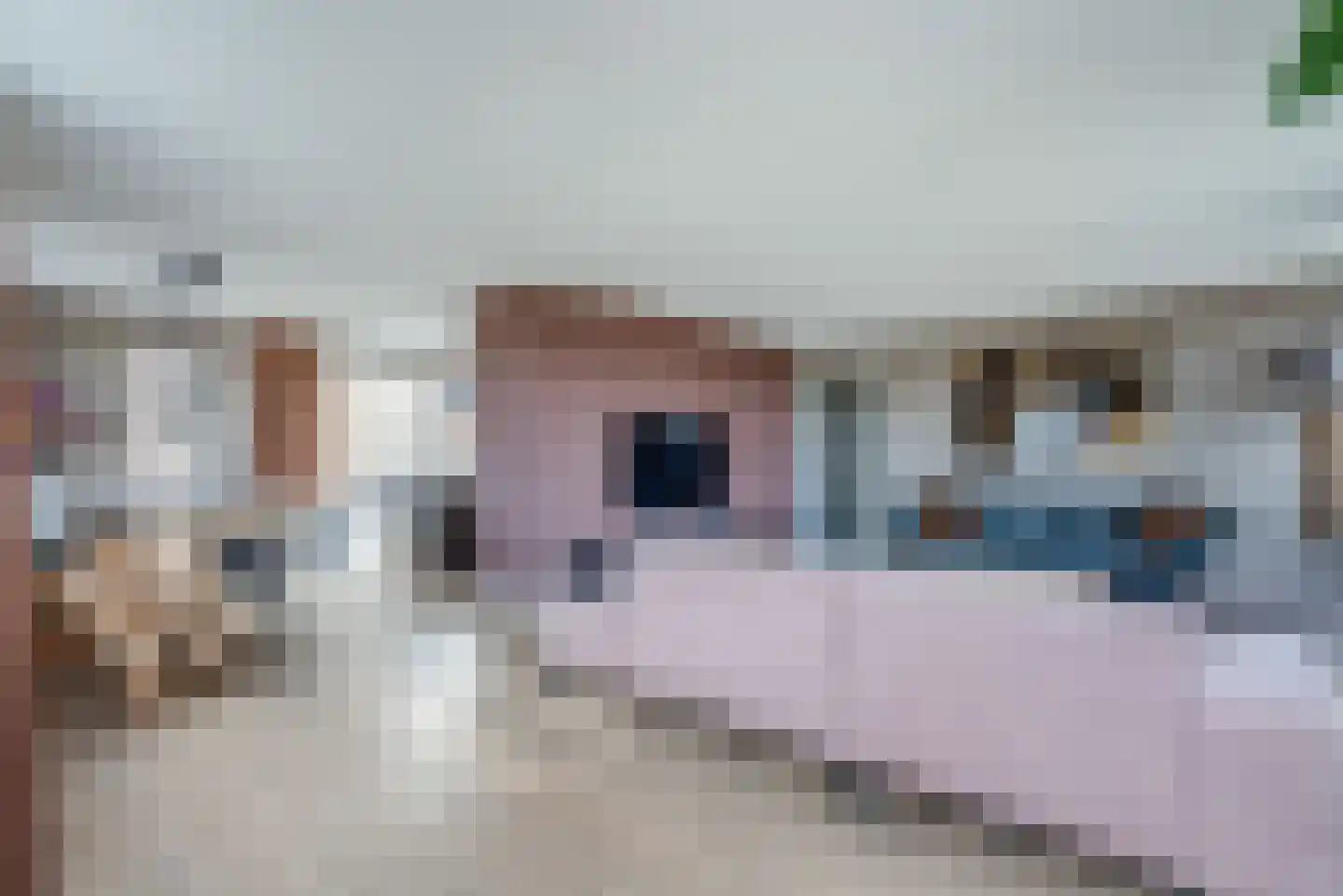 Gerrigje Nijessensingel 68 Emmeloord thumbnail 15