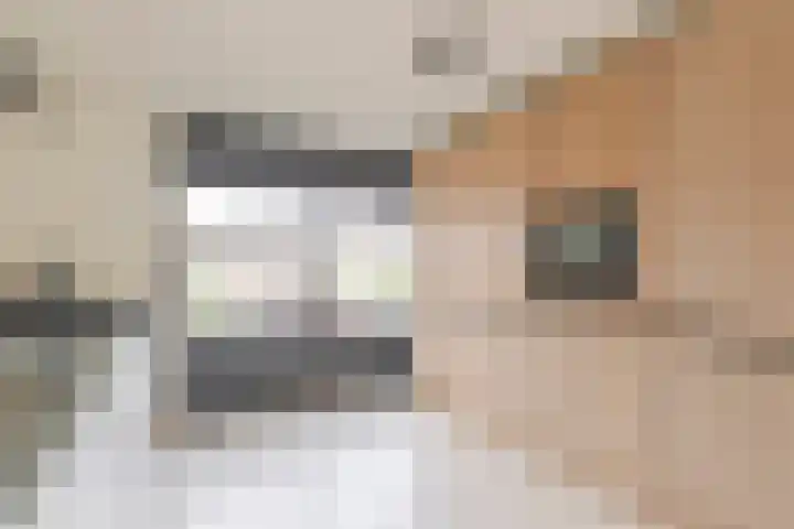 Gerrit Achterberghove 7 Nieuwegein thumbnail 11